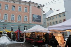 Milica Tomić, 7. Dezember 2010 - 28. Jänner 2011, Graz, Tummelplatz 2010/11
