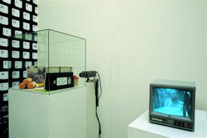 Thomas Feuerstein, Der Künstler als Avatar, 2000-3, Graz 1997